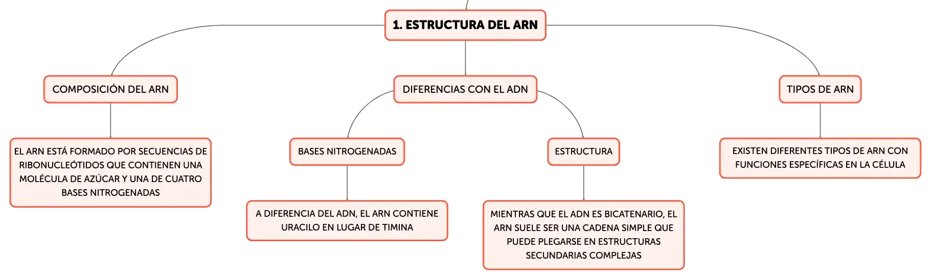 estructura de arn
