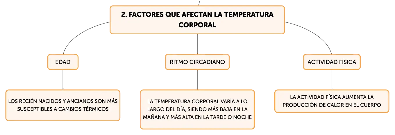 Ritmo circadiano de la temperatura corporal outlet