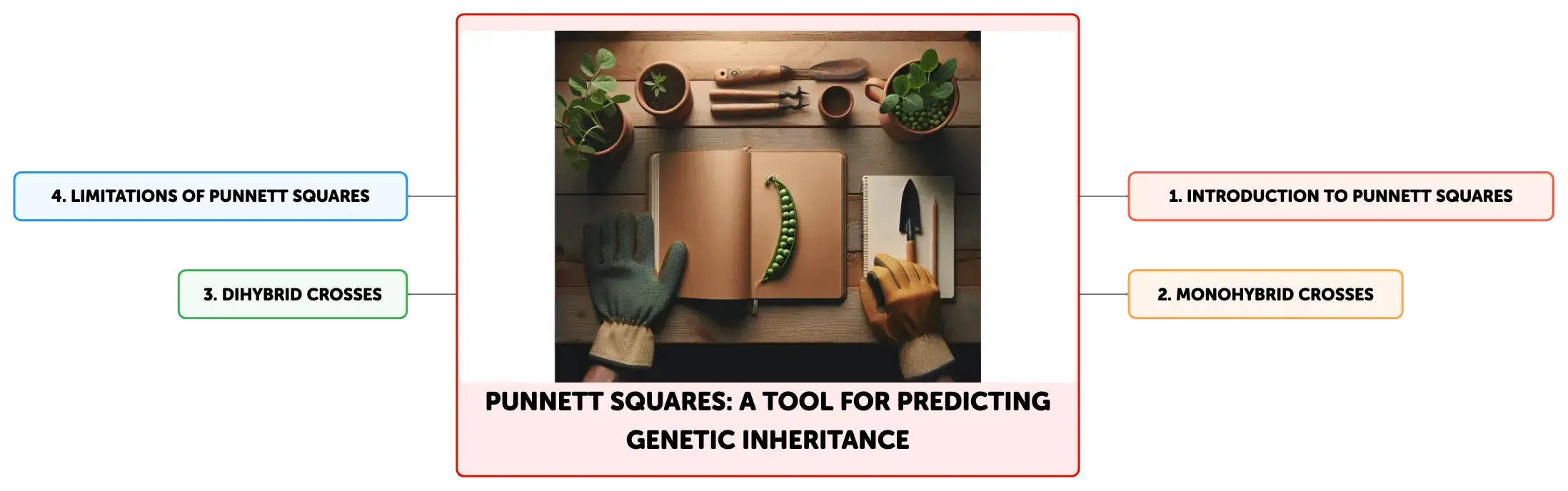 Punnett Squares: A Tool for Predicting Genetic Inheritance | Algor 