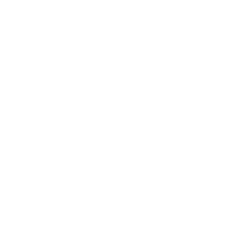 who proposed the critical period hypothesis