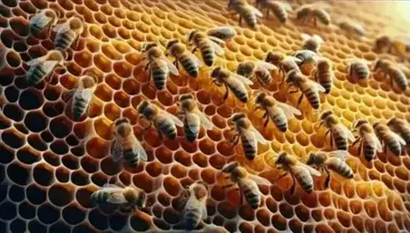 Bees on a honeycomb with hexagonal cells filled with golden honey and some sealed, translucent wings reflect light, intricate detail.