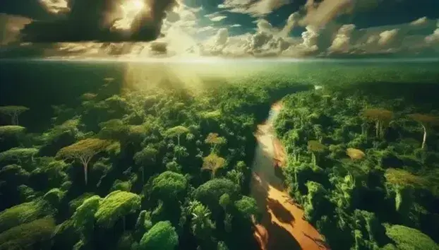 Vista aérea de la selva tropical amazónica con un río serpenteante, densa vegetación en tonos de verde y nubes blancas dispersas en el cielo.