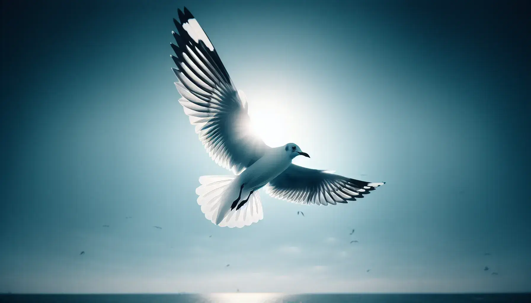 Gabbiano in volo con ali spiegate contro cielo azzurro, contornato dalla luce del sole, sopra una striscia d'acqua marina.