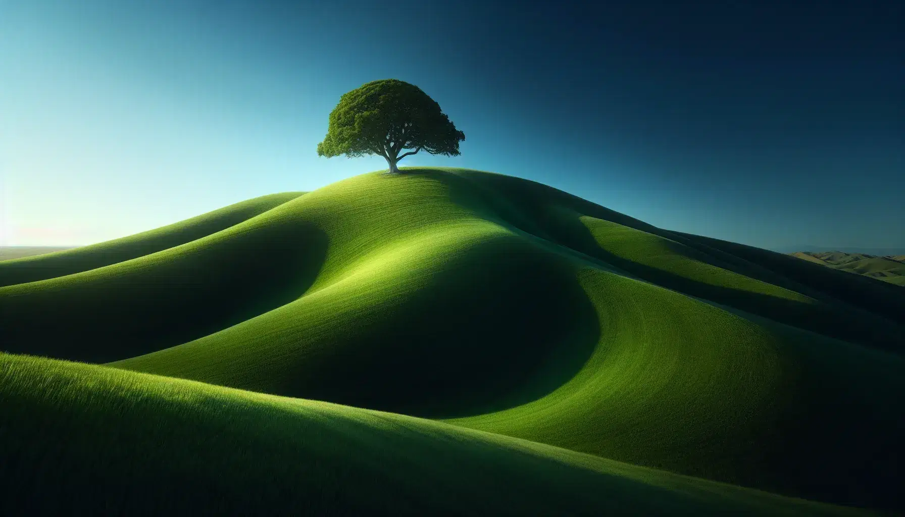 Lush green hill with a single mature tree at its peak under a clear blue sky, with the tree's shadow stretching to the right.