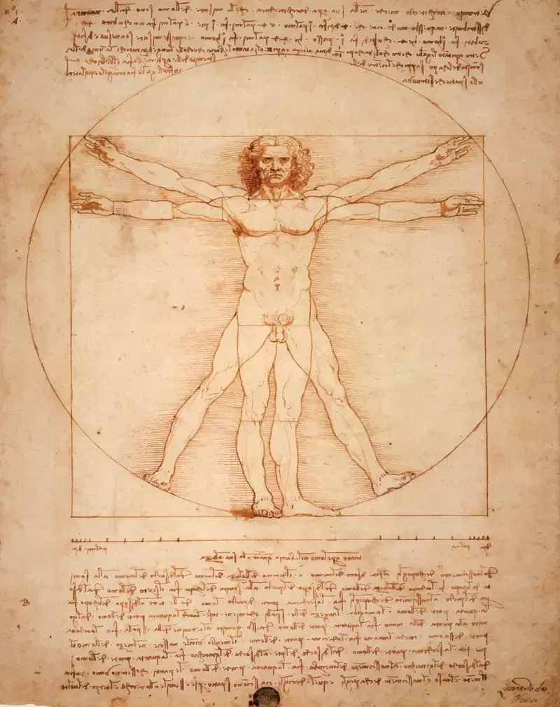 L’uomo vitruviano 