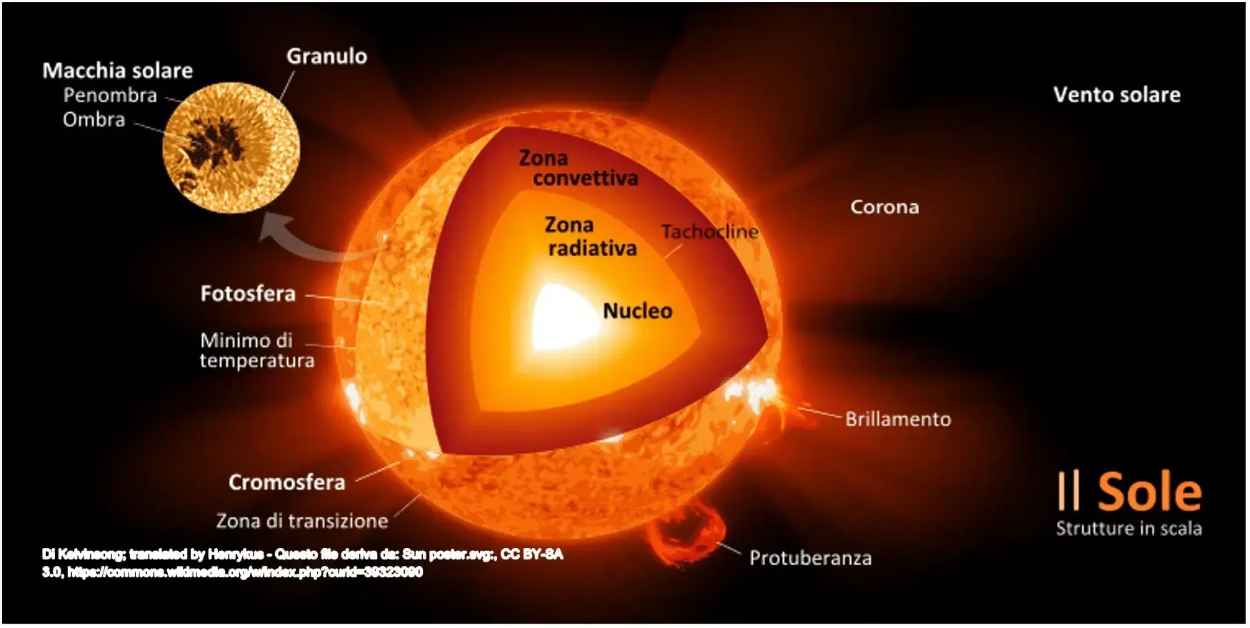 struttura interna del sole