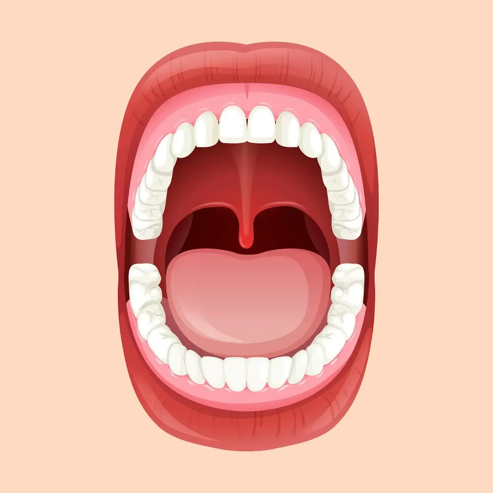 illustrazione-bocca