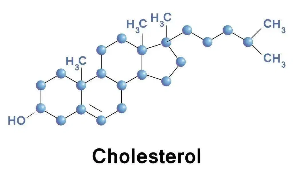 struttura-colesterolo