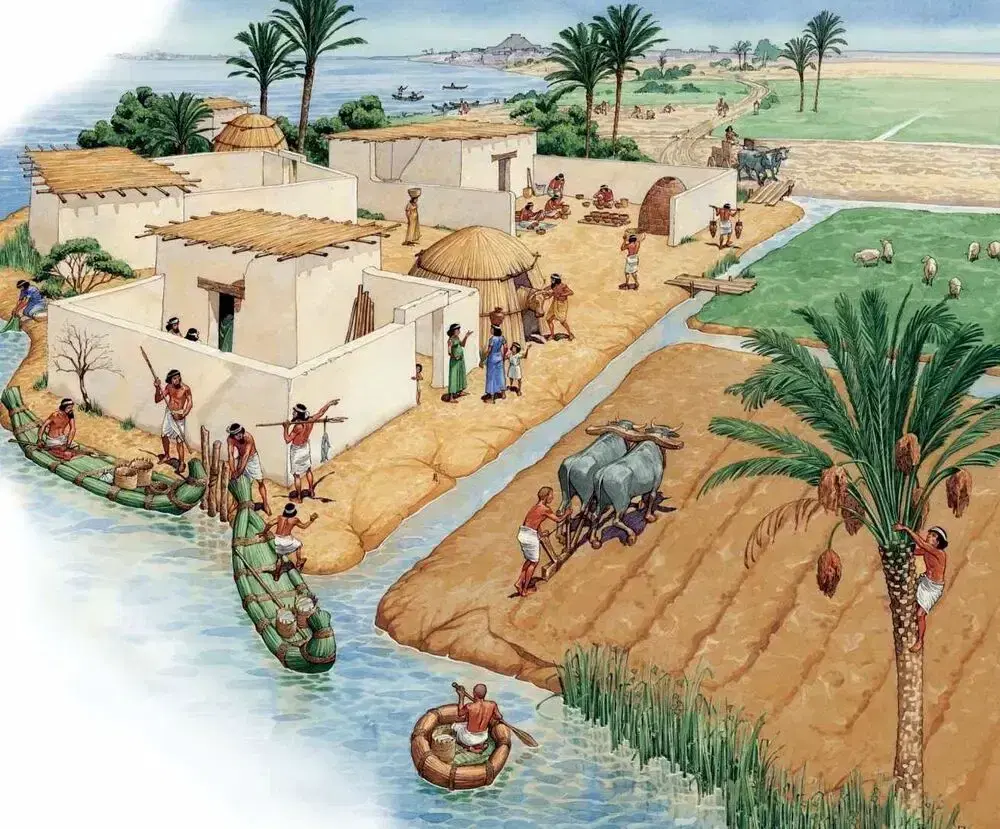 agricoltura-allevamento-sumeri